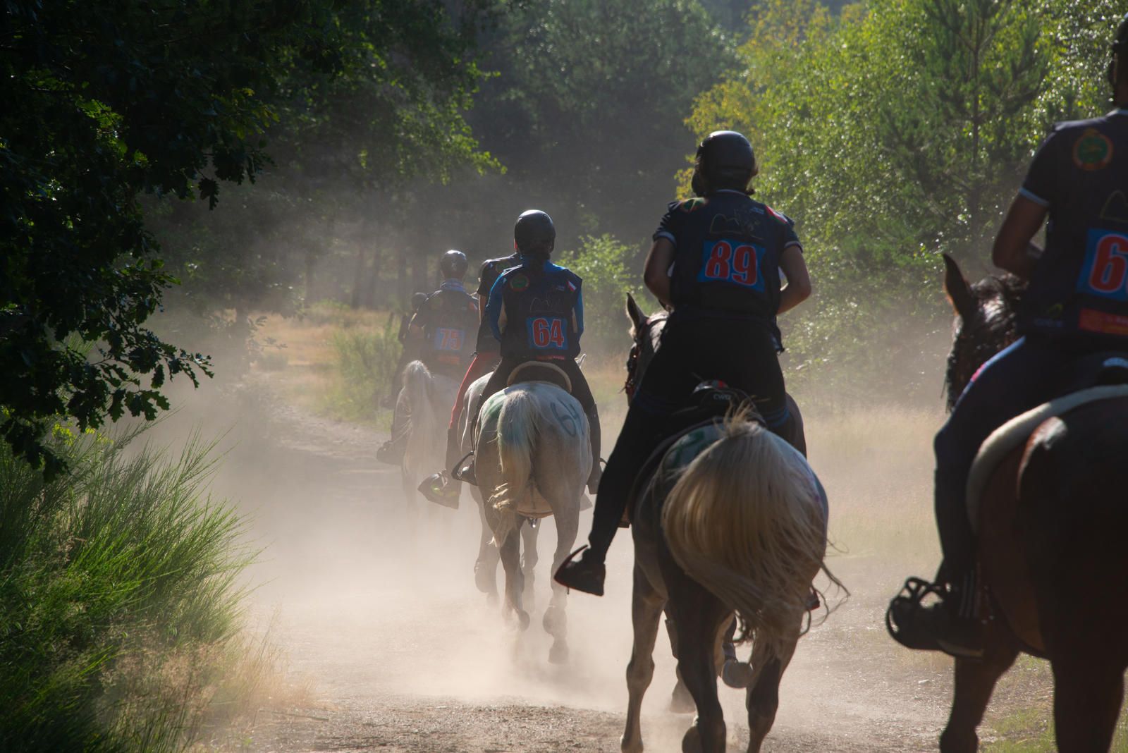 Course d'endurance exceptionnelle au cœur des Cévennes